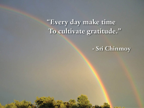 every-day-make-time-to-cultivate-gratitude